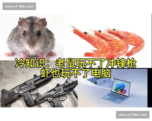 特伦钦vs叶胡达对决前瞻欧战赛场战术博弈与胜负关键因素深度解析全面解读 特伦钦vs叶胡达对决前瞻欧战赛场战术博弈与胜负关键因素深度解析全面解读
